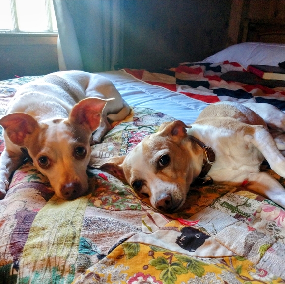 Meet your Posher, Nicole! - Picture 14 of 16